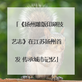 《扬州雕版印刷技艺志》在江苏扬州首发 传承城市记忆