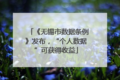 《无锡市数据条例》发布，“个人数据”可获得收益