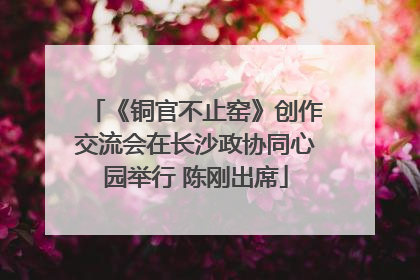 《铜官不止窑》创作交流会在长沙政协同心园举行 陈刚出席