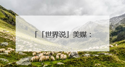 「世界说」美媒：关税战、砍经费、排外政策……美国正在扼杀自身创新能力
