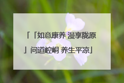 「如意康养 漫享陇原」问道崆峒 养生平凉