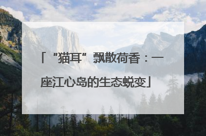 “猫耳”飘散荷香：一座江心岛的生态蜕变