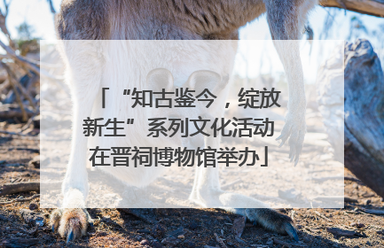 “知古鉴今，绽放新生”系列文化活动在晋祠博物馆举办