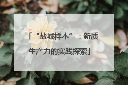 “盐城样本”：新质生产力的实践探索