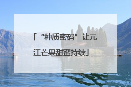 “种质密码”让元江芒果甜蜜持续