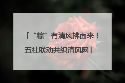 “粽”有清风拂面来！五社联动共织清风网