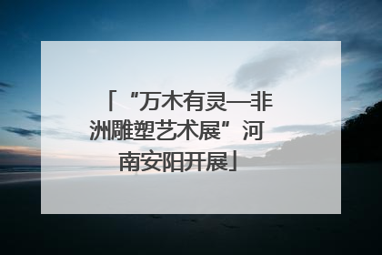 “万木有灵—非洲雕塑艺术展”河南安阳开展