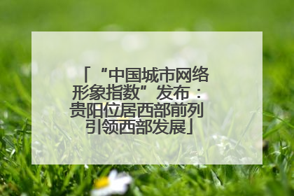 “中国城市网络形象指数”发布：贵阳位居西部前列 引领西部发展