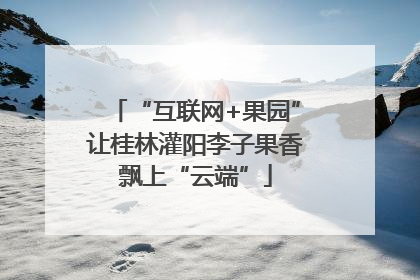 “互联网+果园”让桂林灌阳李子果香飘上“云端”