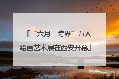 “六月 - 跨界”五人绘画艺术展在西安开幕