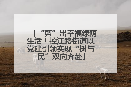 “剪”出幸福绿荫生活！控江路街道以党建引领实现“树与民”双向奔赴