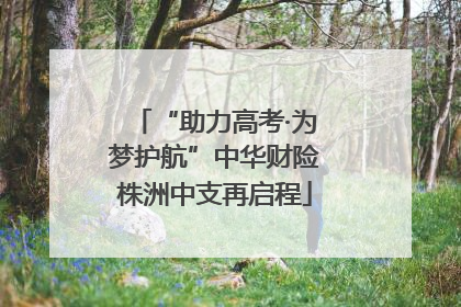 “助力高考·为梦护航”中华财险株洲中支再启程