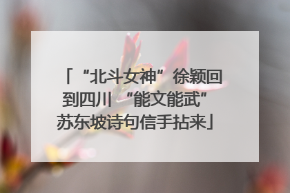 “北斗女神”徐颖回到四川 “能文能武”苏东坡诗句信手拈来