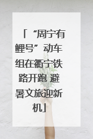 “周宁有鲤号”动车组在衢宁铁路开跑 避暑文旅迎新机