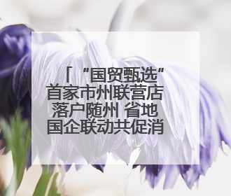 “国贸甄选”首家市州联营店落户随州 省地国企联动共促消费升级