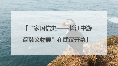 “家国信史——长江中游简牍文物展”在武汉开幕