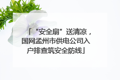 “安全扇”送清凉，国网孟州市供电公司入户排查筑安全防线
