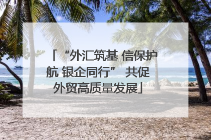 “外汇筑基 信保护航 银企同行” 共促外贸高质量发展