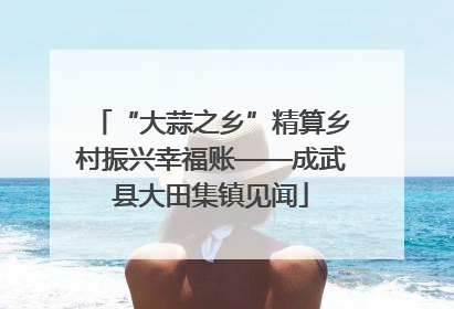 “大蒜之乡”精算乡村振兴幸福账——成武县大田集镇见闻