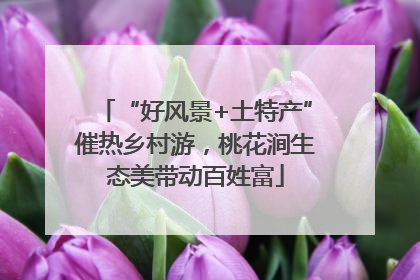 “好风景+土特产”催热乡村游，桃花涧生态美带动百姓富