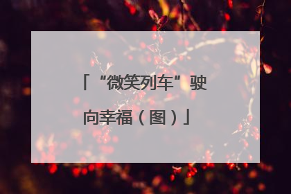 “微笑列车”驶向幸福（图）