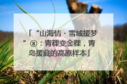 “山海情・雪域援梦”⑧：青稞变金稞，青岛援藏的高原样本
