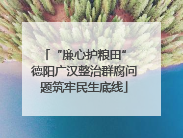 “廉心护粮田” 德阳广汉整治群腐问题筑牢民生底线