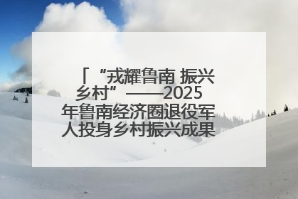 “戎耀鲁南 振兴乡村”——2025年鲁南经济圈退役军人投身乡村振兴成果展销会盛大启幕