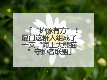 “护豚有方”！厦门这群人组成了一支“海上大熊猫”守护者联盟