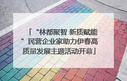 “林都聚智 新质赋能”民营企业家助力伊春高质量发展主题活动开幕