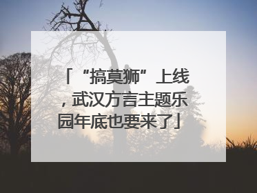 “搞莫狮”上线，武汉方言主题乐园年底也要来了