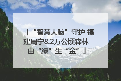 “智慧大脑”守护 福建周宁8.2万公顷森林由“绿”生“金”
