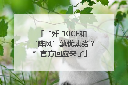 “歼-10CE和‘阵风’孰优孰劣？”官方回应来了