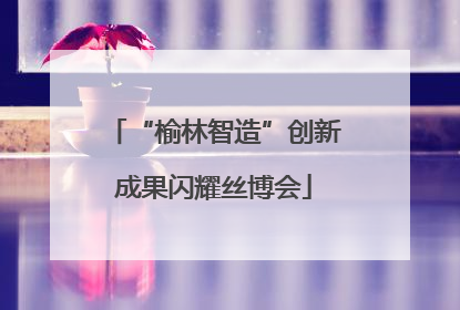 “榆林智造”创新成果闪耀丝博会