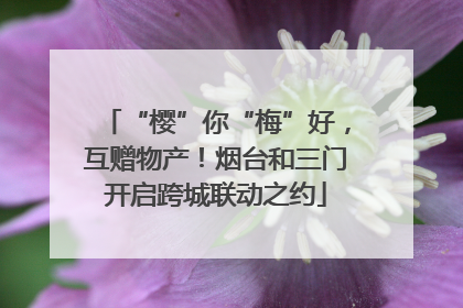 “樱”你“梅”好，互赠物产！烟台和三门开启跨城联动之约