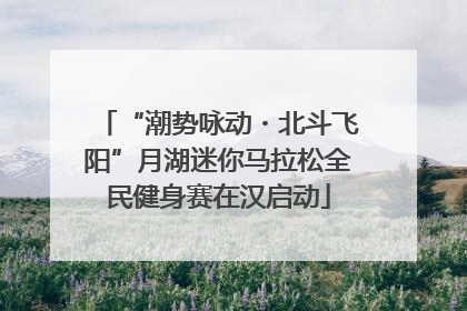 “潮势咏动・北斗飞阳”月湖迷你马拉松全民健身赛在汉启动