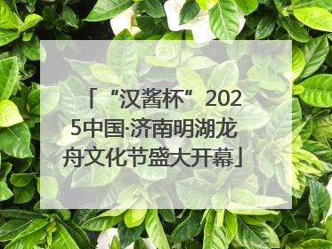“汉酱杯”2025中国·济南明湖龙舟文化节盛大开幕