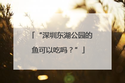 “深圳东湖公园的鱼可以吃吗？”