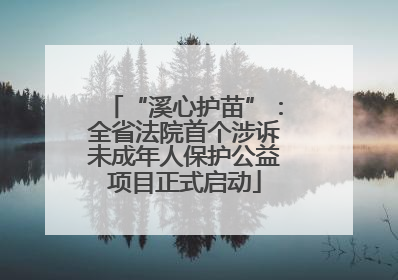 “溪心护苗”：全省法院首个涉诉未成年人保护公益项目正式启动