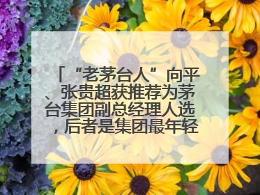 “老茅台人”向平、张贵超获推荐为茅台集团副总经理人选，后者是集团最年轻党委委员