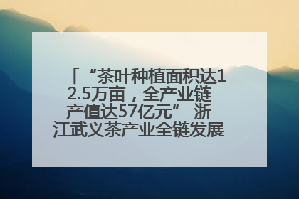 “茶叶种植面积达12.5万亩，全产业链产值达57亿元” 浙江武义茶产业全链发展“加速度”