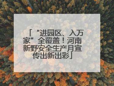 “进园区、入万家”全覆盖！河南新野安全生产月宣传出新出彩