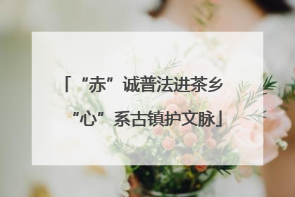 “赤”诚普法进茶乡 “心”系古镇护文脉