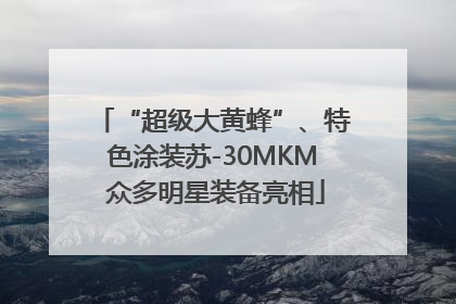 “超级大黄蜂”、特色涂装苏-30MKM 众多明星装备亮相