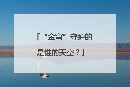 “金穹”守护的是谁的天空？