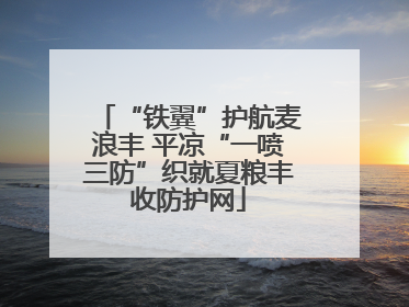 “铁翼”护航麦浪丰 平凉“一喷三防”织就夏粮丰收防护网