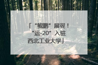 “鲲鹏”展翼！“运-20”入驻西北工业大学