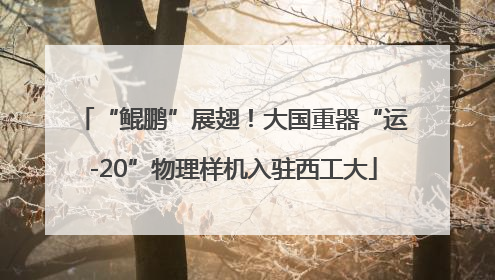 “鲲鹏”展翅！大国重器“运-20”物理样机入驻西工大