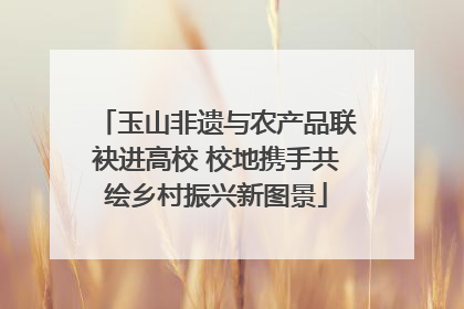 玉山非遗与农产品联袂进高校 校地携手共绘乡村振兴新图景