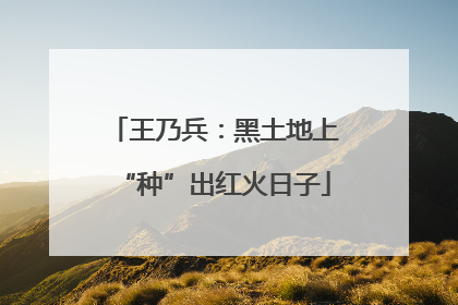 王乃兵：黑土地上“种”出红火日子